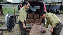 Phát hiện xe ôtô 7 chỗ vận chuyển gỗ lậu lúc rạng sáng