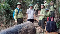 Kiểm lâm Quảng Nam quyết tâm làm “trong sạch nội bộ” sau hàng loạt vụ phá rừng
