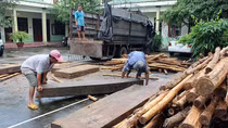 Phát hiện chiêu độc trong vận chuyển gỗ lậu của lâm tặc