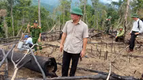 Lỗ hổng trong quản lý, bảo vệ rừng