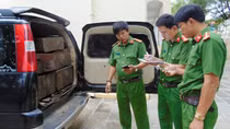 4 vụ tàng trữ, vận chuyển gỗ lậu bị bắt giữ