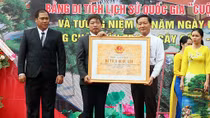 “Địa điểm diễn ra cuộc đấu tranh Cây Cốc năm 1954” được công nhận Di tích Quốc gia