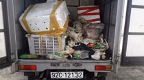 Bắt quả tang vụ đổ thịt đông lạnh thối rữa ra môi trường