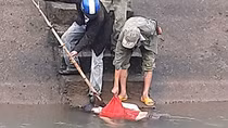 Phát hiện thi thể người phụ nữ trôi trên dòng kênh