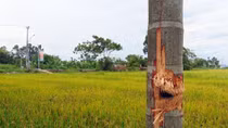 Hiện trường vụ nổ khiến nữ Phó Giám đốc Phòng giao dịch ngân hàng tử vong