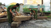 Tăng cường kiểm soát lâm sản trái phép dịp cuối năm
