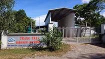 Trang trại lợn giống gây ô nhiễm trầm trọng