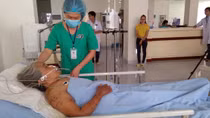 Cụ bà 79 tuổi thoát chết thần kỳ sau khi bị ong vò vẽ đốt 200 mũi