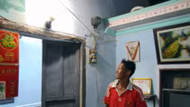 Cù Lao Chàm chính thức có điện lưới quốc gia