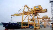 Hơn 600 DN "chưa nộp" 150 tỷ phí hạ tầng cảng biển