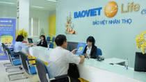 Thông báo thay đổi địa điểm đặt trụ sở của Công ty Bảo Việt Nhân Thọ Móng Cái