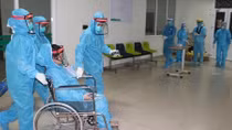 Những mầm sống vẫn vươn lên mạnh mẽ…