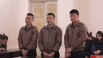 Nhóm “đạo chích” chuyên dùng kìm cộng lực lĩnh 46 năm tù