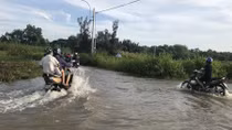Khóc cười mùa triều cường, triều dâng