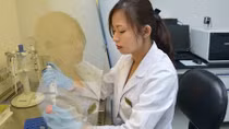 Liệu pháp tế bào gốc: “Cửa sống” cho các bệnh nan y