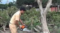 Công an Mộ Đức giúp dân khắc phục sau bão