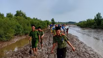 Bảo tồn, phát triển những vùng đất ngập nước tại đồng bằng sông Cửu Long