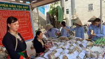Phát triển y học cổ truyền kết hợp với y học hiện đại