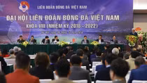  VFF bất ngờ hoãn đại hội thường niên