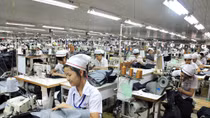 Nợ đọng Bảo hiểm xã hội: Doanh nghiệp chây ì, công nhân chịu hậu quả
