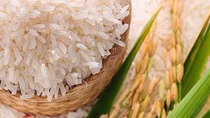 13 sản phẩm nông nghiệp chủ lực quốc gia