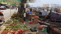 Về đâu "áo trắng thương hồ"