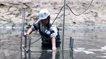 Chuyên gia Nhật Bản lội sông Tô Lịch khảo sát sau 20 ngày thí điểm làm sạch 