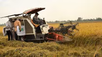Bứt phá bằng các giải pháp phù hợp, hiệu quả