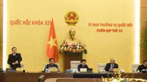 Ủy ban Thường vụ Quốc hội xem xét quy định hướng dẫn bầu cử