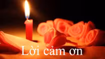 Lời cảm ơn