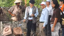 Khai quật dấu tích lăng mộ vua Quang Trung