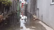Hàng trăm người dân sống cùng nước cống