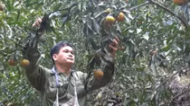 Vượt lên quá khứ lầm lỗi để phát triển kinh tế giỏi