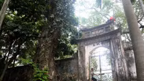 Hà Nội cho phép người dân thôn Phụ Chính bán cây sưa 