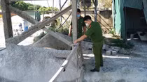 Cưỡng chế trạm bê tông vi phạm lấn chiếm hành lang đê điều