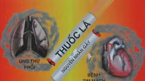 Thuốc lá – thủ phạm giết người giấu mặt