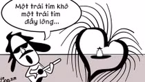 Trái tim mùa đông