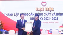 Thành lập Liên đoàn Bóng chày và Bóng mềm Việt Nam