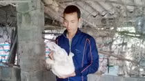 Chàng trai 9X làm giàu nhờ mô hình nuôi thỏ New Zealand
