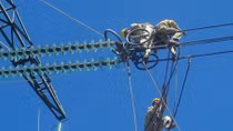 Yêu cầu dừng xây Đài vinh danh đường dây 500 kV Bắc Nam