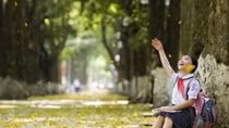 Bắc Bộ mát mẻ, Nam Bộ có mưa to