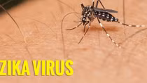 Hai chị em ruột ở Bà Rịa - Vũng Tàu cùng nhiễm virus Zika