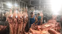 Cần minh bạch chất lượng thịt để người dùng lựa chọn