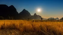 Ổ rạ à, ổ rạ ơi...