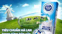 Hành trình Cô Gái Hà Lan vào top 5 tập đoàn sữa lớn nhất thế giới