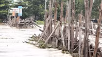 Lũ cuốn trôi một đoạn cầu gỗ Phú Kiểng