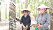 Nữ sinh nghèo vùng biên nuôi giấc mơ làm bác sĩ