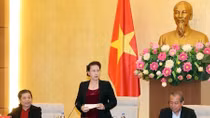 Đoàn kiểm tra của Bộ Chính trị thông báo kết quả thẩm tra, xác minh đối với Đảng đoàn Quốc hội