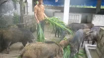 Sáu lĩnh vực ngành nông nghiệp kinh doanh sẽ phải có điều kiện