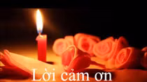 Lời cảm ơn của gia đình Đại tá, Nhà văn Nguyễn Thụ